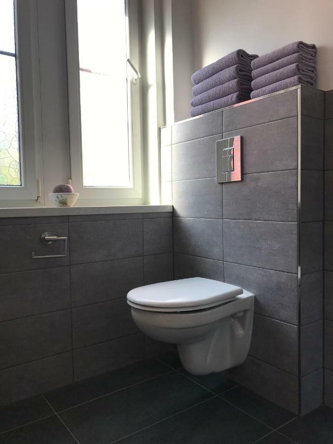 Apartman Havlickova Karlovy Vary Exterior foto